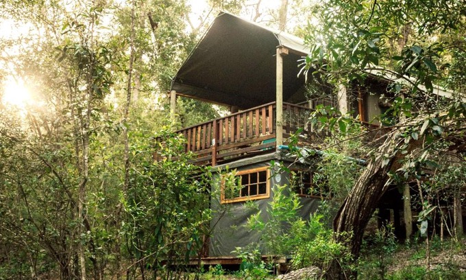 Knysna Otro | Fernhill Tented Treehouses