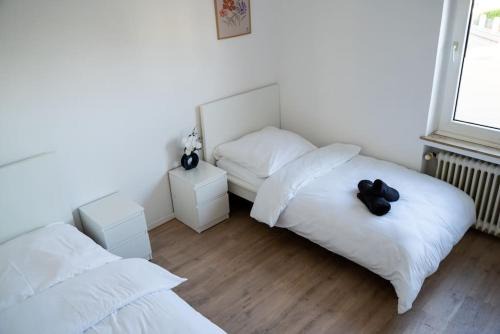 Emsdetten Apartamento | FeWo 8P Küche Bad TV WiFi