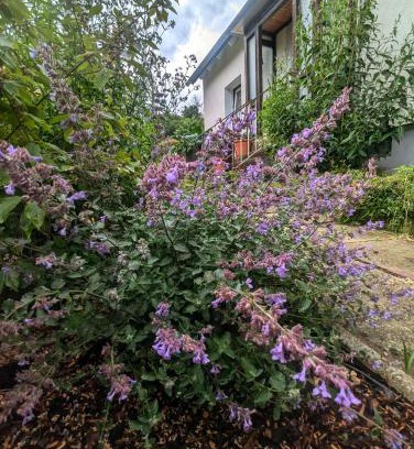 Liebenburg Apartamento | FeWo Am Lewerberg