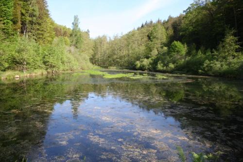 Schontal Apartamento | Fewo Fels- und Seenland