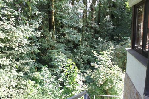 Bad Iburg Apartamento | FeWo Harling - Waldsamkeit