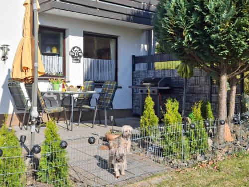 Landkreis Goslar Apartamento | FeWo Harzer Bergwind Sankt Andreasberg, 1 Hund bis 30Kg willkommen, große eingezäunte Terrasse mit Gasgrill