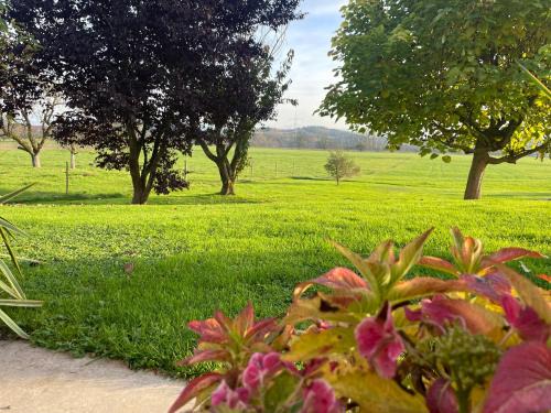 Wangen im Allgaeu Apartamento | FeWo - Natur, Ruhe und Erholung