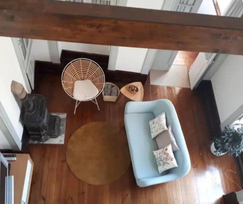 Aveiro Apartamento | Ficus Benjamina