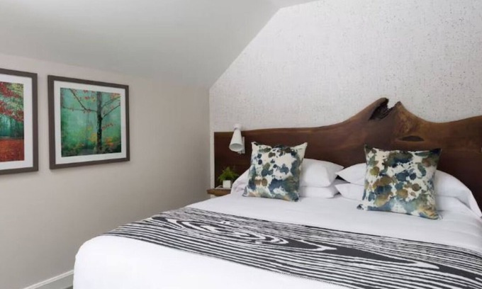 Stowe Area Hotel | Field Guide Lodge | Modern Escape Close to Slopes, Hikes & Dining