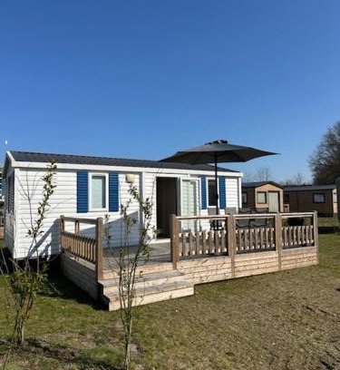 Gasselte Otro | Figaro - Gasselte, Drenthe
