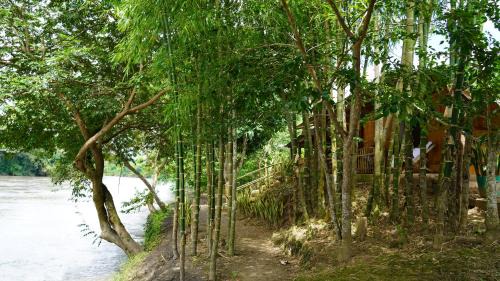 Trinidad Casa | Finca Agroturística Rosita