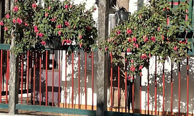 Salento Cama Y Desayuno | Finca Campestre La Adelita