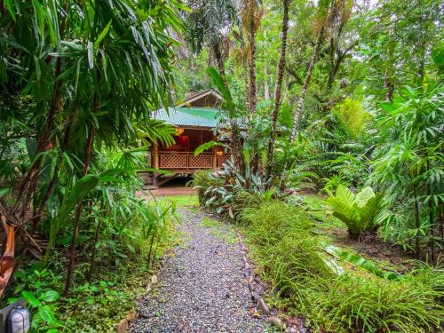 Cocles Cabina | Finca Chica Lodge & Villas