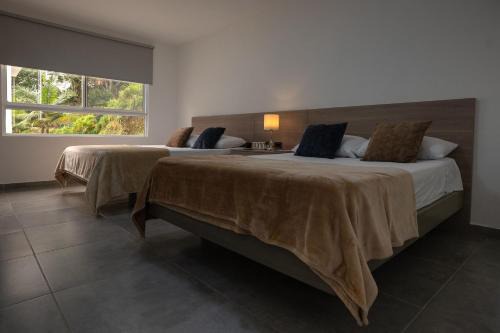 Circasia Hotel | Finca hotel NUEVO FUTURO