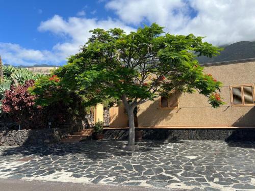 Frontera Casa | Finca Morales