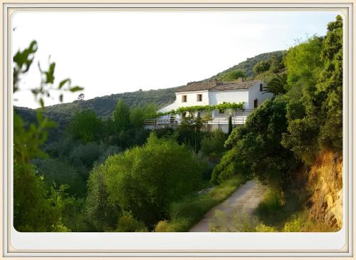 Villanueva del Arzobispo Casa | Finca Rústica La Pájara