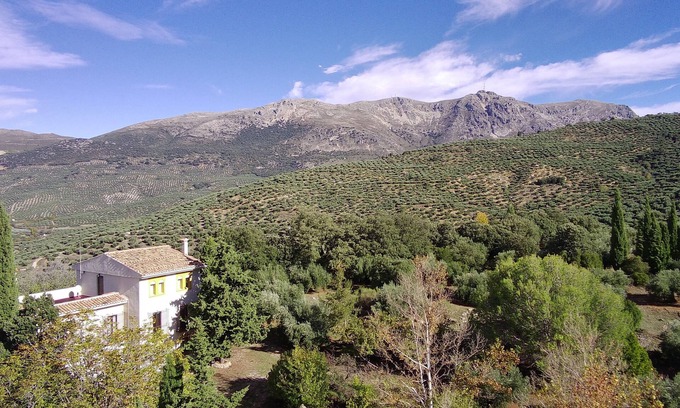 Valdepeñas de Jaén Cabaña | Finca rural La Calderera con 10.000 metros cuadrados en plena Sierra Sur