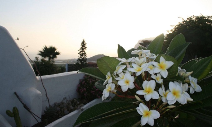Buenavista del Norte Casa | Finca vacation ... Also great for internet nomads