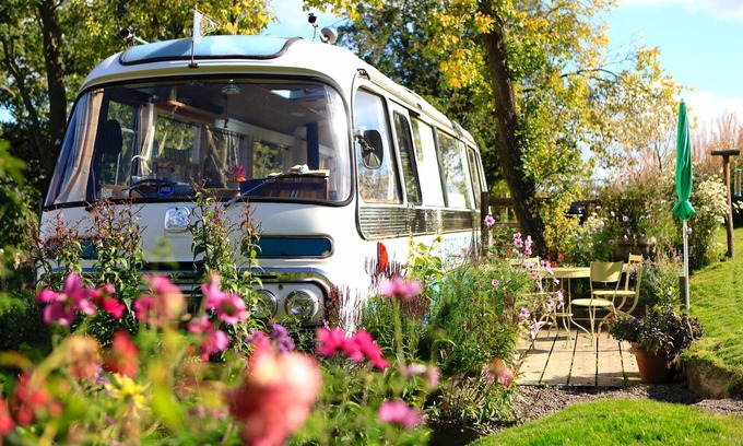 Westbrook Court Chalet De Esquí | Majestic Bus