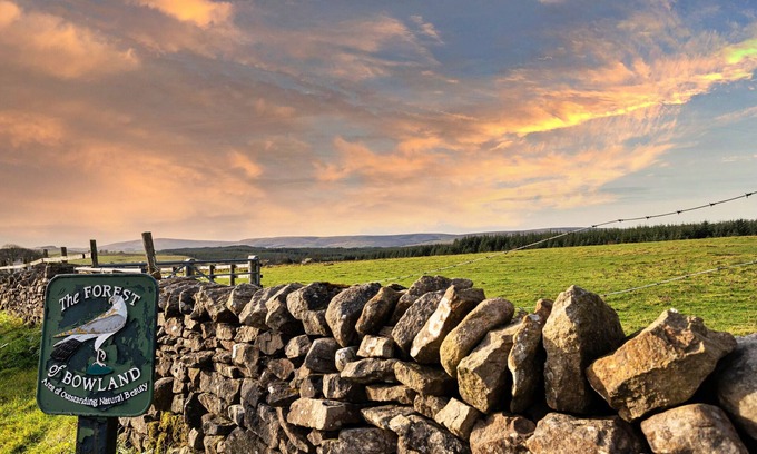 Tosside Cabaña | Pinfold Cottage