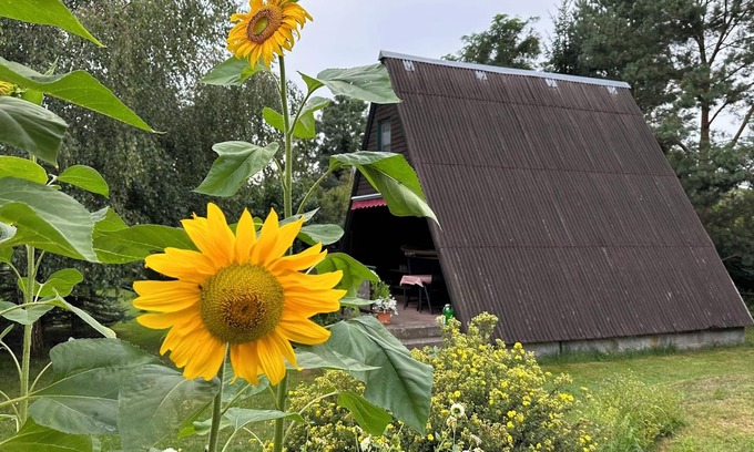 Lochow Casa | Finnhütten Waldesruh, a cozy house in the Westhavelland - Cabin C