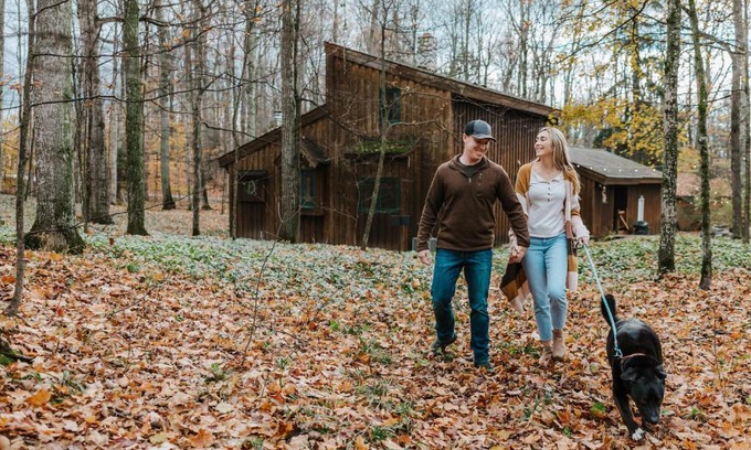 Suttons Bay Casa | Finnwood - A Pet Friendly Woodland Retreat