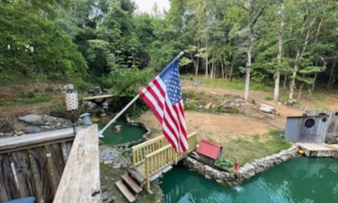 Charlotte Cabina | Finster Springs