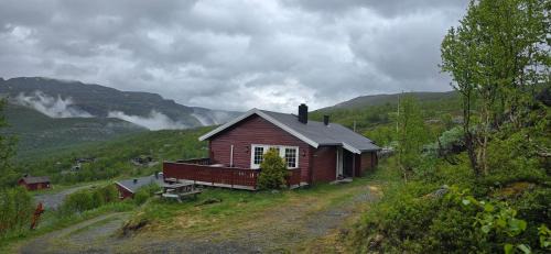 Tyinkrysset Casa | Fjellheimens Svanebu