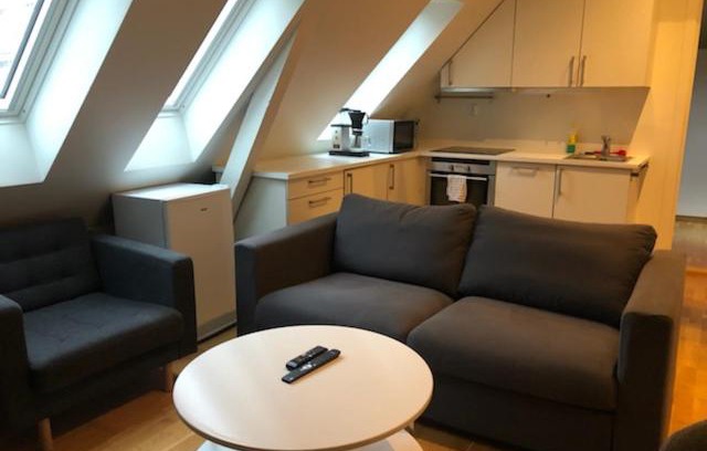 Bergen City Centre Apartamento | Fløyen Apartment