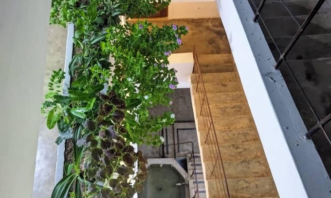 Stone Town Casa | Flamingo Guest House