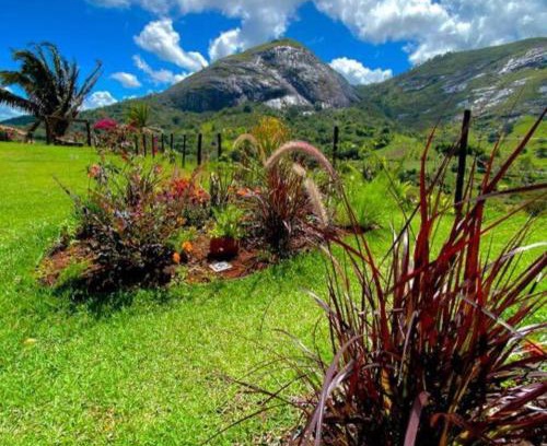 Bonito Apartamento | Flat na natureza