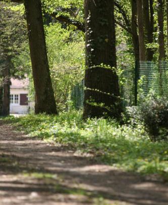 Neuille-le-Lierre Apartamento | Fleurs de Brenne Gite