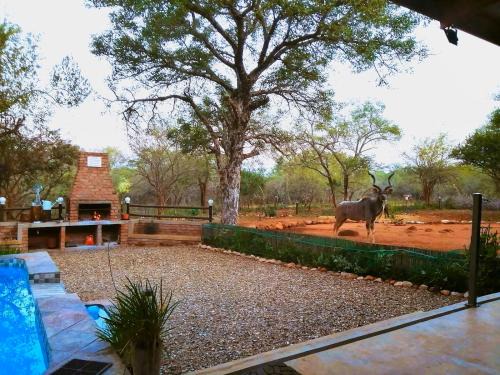 Marloth Park Casa | Flight of the Eagle @ Kruger