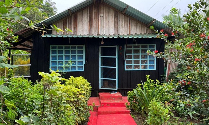 Puerto Narino Casa | Flor de la selva