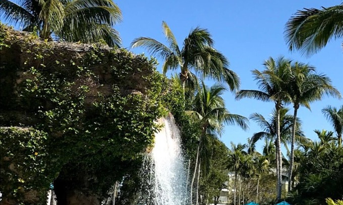 Estero Condominio | Florida Hyatt Coconut Cove resort 2 Bedroom