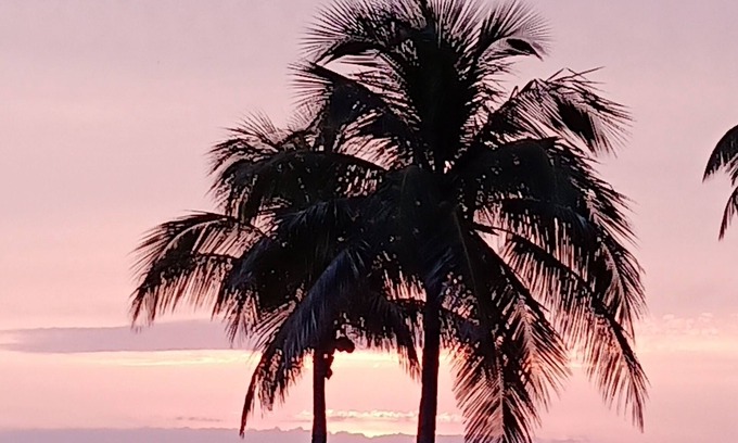 Pine Island Center Casa | Florida Pine Island Paradise Get-Away in Bokeelia