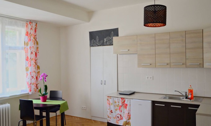 Nusle Apartamento | Flor - apartamento moderno en el centro de Praga (Nusle) con exposición de arte