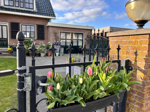 De Engel Cama Y Desayuno | Flowerbed