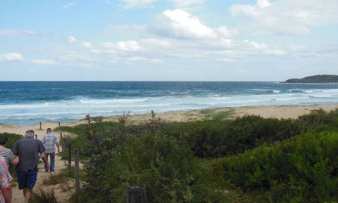 Catherine Hill Bay Casa | Flores casa, Catherine Hill Bay