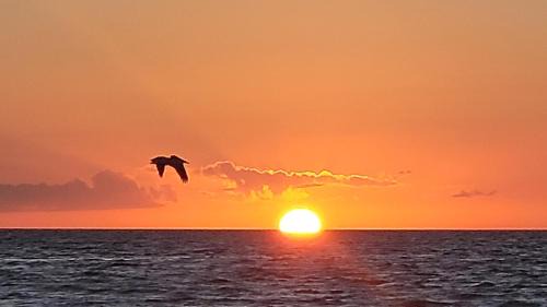 South Island Apartamento | FMB White Sands Retreat!