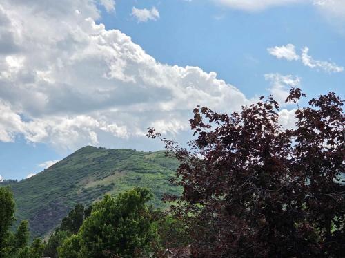Littleton Casa | Foothills Valley Retreat - Read Details