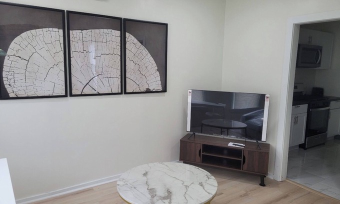 Cleveland Apartamento | For Traveling Professionals! Newly Renovated 1bed/1bath-10 minutes to downtown
