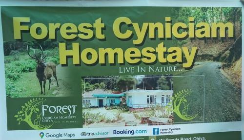 Ohiya Casa | Forest Cyniciam Homestay