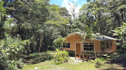Monteverde Casa | Forest Garden House