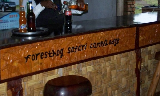 Kasese Cabina | Forest Hog Safari Lodge