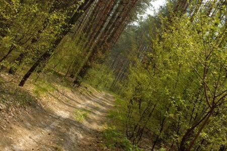 Cwmafan Apartamento | Forest House by STAE-Homes