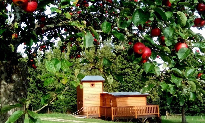 Radon Cabaña | Chalet acogedor en el bosque con terraza, actividades al aire libre y acceso a granja pedagógica
