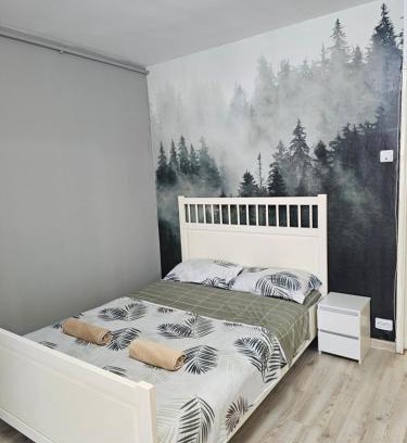Center Apartamento | Forest Studio