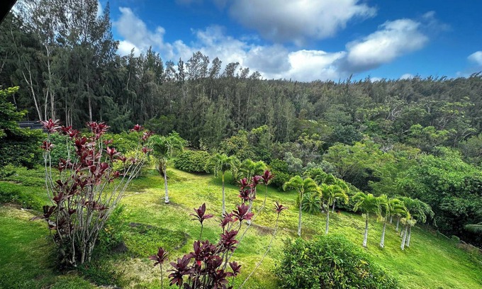 Pupukea Casa | Forest Views, Acreage, Fruit Trees, Beach~5m drive