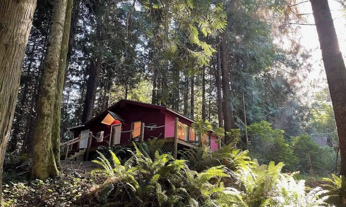Port Angeles Cabina | Forested Cottage in the Woods, near Olympic Park