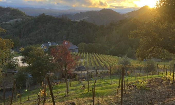 Napa County Casa | The Old Toll Road Inn (4 habitaciones / 4 baños)