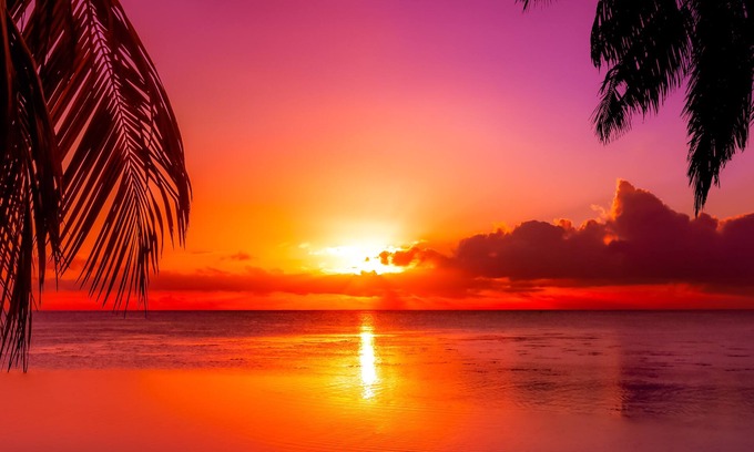 Middle River Terrace Apartamento | Fort Lauderdale Cottage - Free Parking near Beach