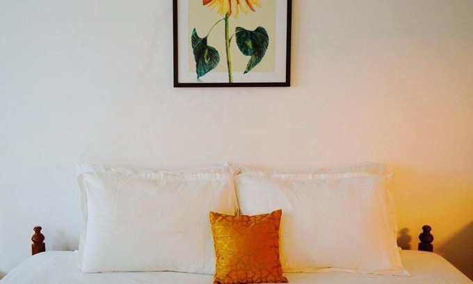 Fort Kochi Cama Y Desayuno | Fortis Rooms