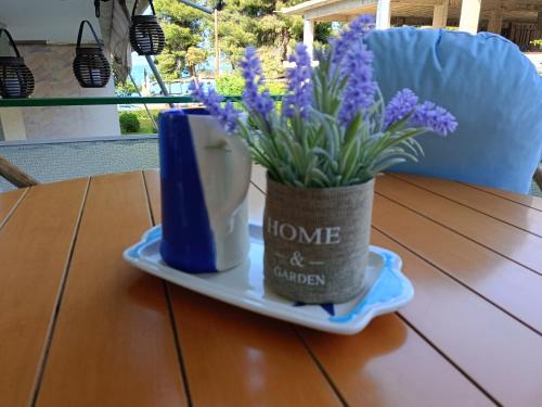 Kamena Vourla Apartamento | Four Reasons Apts Kamena Vourla
